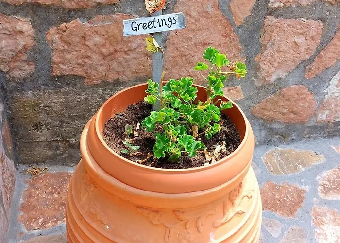 Eftychia House * Vathy (Ithaca)