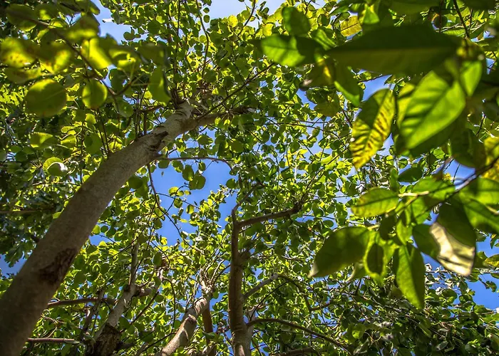 Semesterbostad Eftychia House