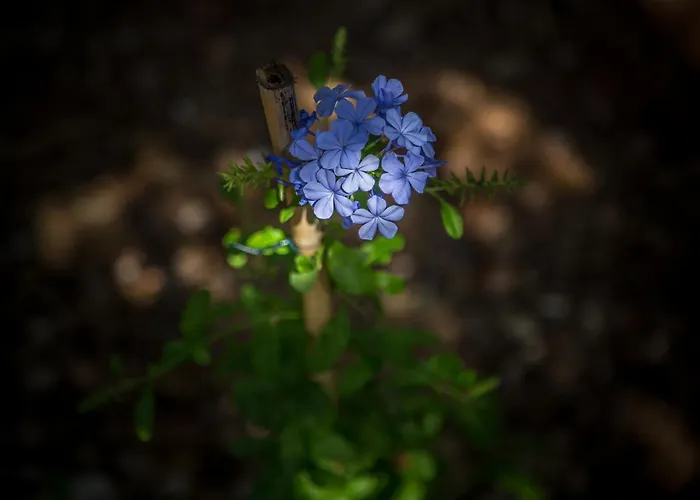 Semesterbostad Eftychia House Vathy (Ithaca)