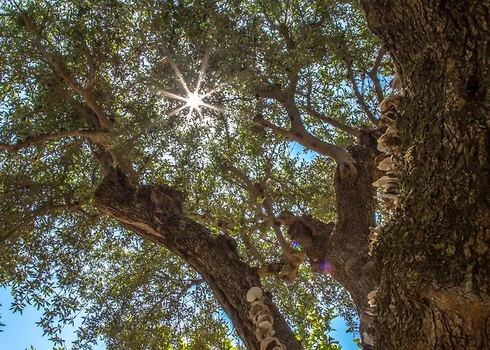 Semesterbostad Eftychia House *