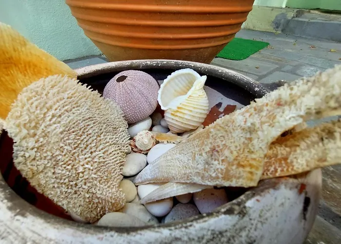 Eftychia House 瓦西